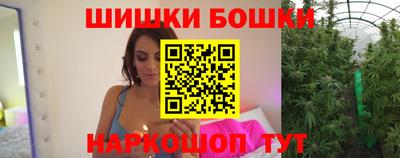 индика Пенза