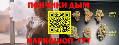 мдпв Партизанск