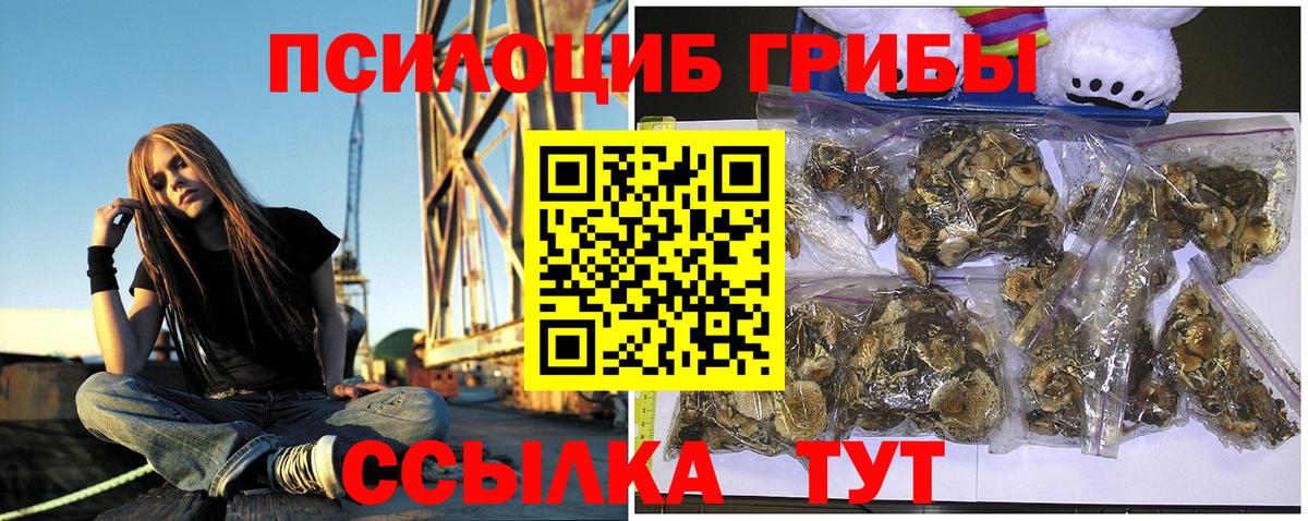 Пугачёв  Псилоцибиновые грибы GOLDEN TEACHER  Псилоцибиновые грибы ЛСД  Вход с VPN 